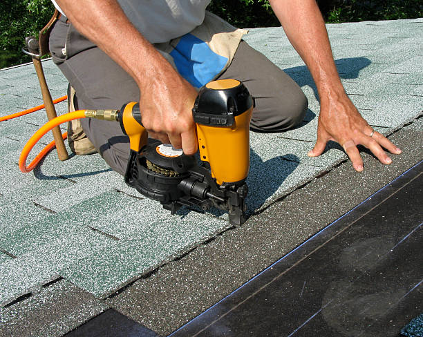 Best Roof Gutter Cleaning  in USA